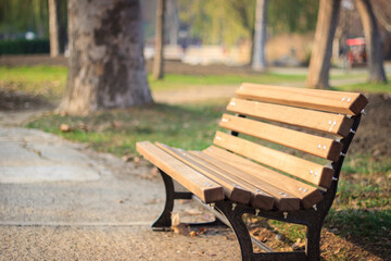 Wooden bench near the road in the park on sunset. The season is autumn.