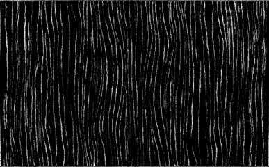 Swirled and curled stripes and brush strokes texture. Marble or acrylic atrwork imitation. Cool and swirly background. Abstract vector illustration. Black isolated on white. EPS10