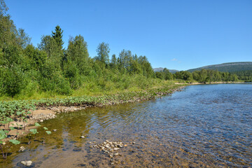 Taiga river Shchugor in the national Park Yugyd VA.