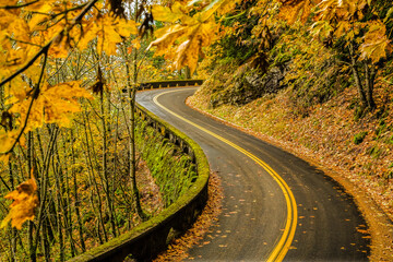 Old Cloumbia River Highway, Columbia River Gorge National Scenic Area, Oregon