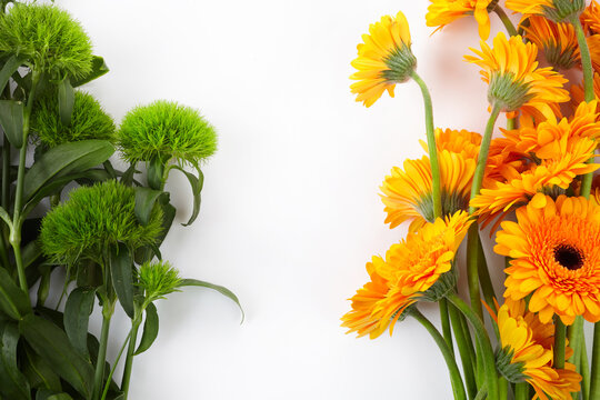 Green and orange flowers frame on white background. Ireland flag colors.