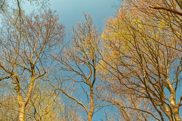 The beginning of spring.