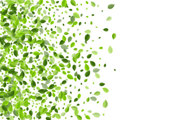 Lime Greens Forest Vector Design. Blur Foliage 