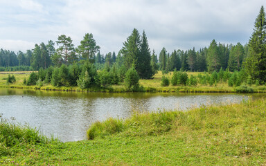Ural landscape with meadow, pond and coniferous forest