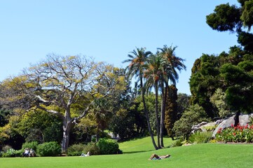Spring in Sydney, Australia