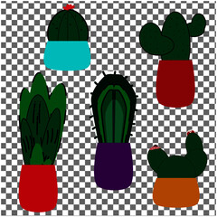 Set of 5 Illustrations of potted cacti. Vector