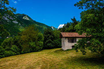 shed and lawn with cut grass