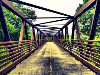 bridge in the forest