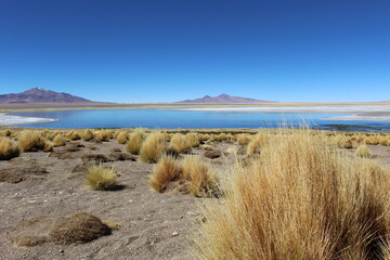 Tara Salt Flat (Salar de Tara), Chile