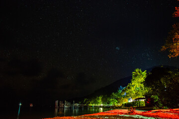 Starry night sky from Fitzroy Island beach, Queensland, Australia