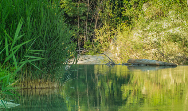 Fragment rzeki Bidente przepływający przez g&oacute;rski region Włoch , 