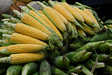 Selling corn at the market also benefits from some composition