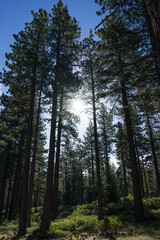 Tahoe