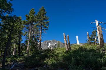 Tahoe