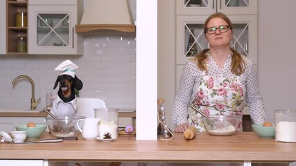 Food blog or cooking battle on baking between attractive blonde housewife in glasses and apron with flower ornament, and funny dachshund dog in chefs costume with cap.