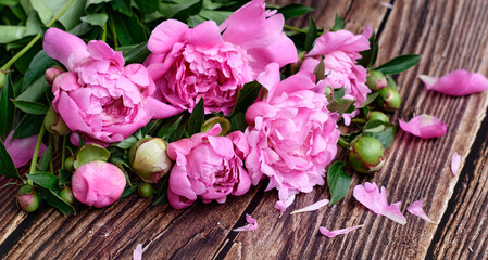 A bouquet of pink peonies on a dark wooden background flower