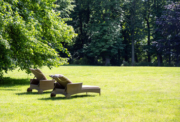 Comfortable sun lounge chairs to relax under an old tree on the lawn in a park on a sunny summer...
