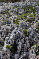 Spectacular View of Rocks Covered with Moss on Cap Ferrat Cape in Nice City, France