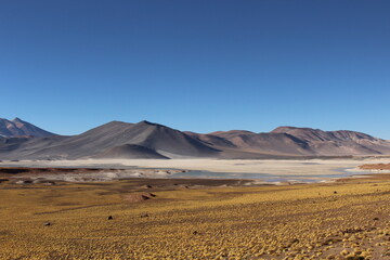 Fototapeta na wymiar Landscape of Piedras Rojas in Atacama Desert, Chile.