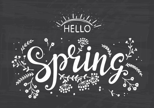 Hello Spring. Hand drawn lettering poster with flowers and sun. Invitation or greeting card with Wildflowers
