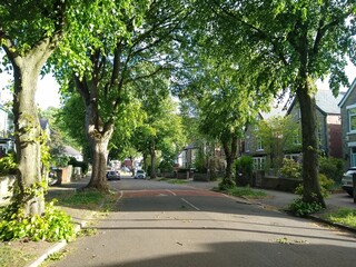 alley in the park