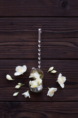 Fototapeta na wymiar Jasmine flowers and retro tea strainer on a dark wooden background. Composition of fresh jasmine flowers with copy space for text. Making aromatic tea. Top view.