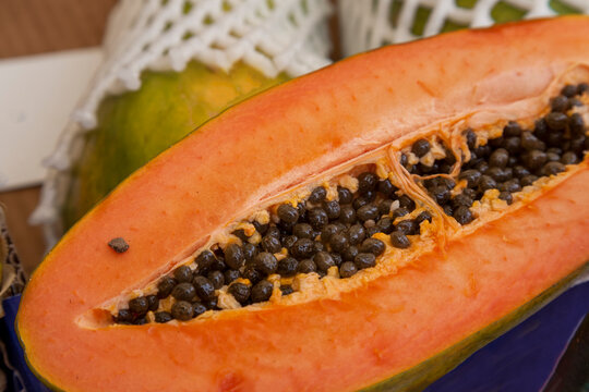 Papaya (Carica papaya)