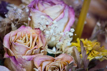 Dry bouquet of pink roses