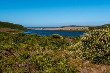 Fototapeta na wymiar Abbotts Lagoon viewed from a distance on a clear sky day, Point Reyes National Seashore, California, USA
