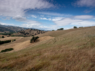 Lagoon Valley Park on a partly cloudy day with blue sky, featuring brown grass and rolling hills of the chaparral, with some lone oak trees