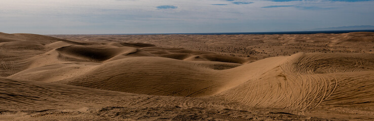 Panoramic view of the Imperial Sand Dunes in the Sonoran Desert of California, USA, featuring tire tracks from dune buggying
