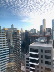 Fototapeta premium skyscrapers in the city