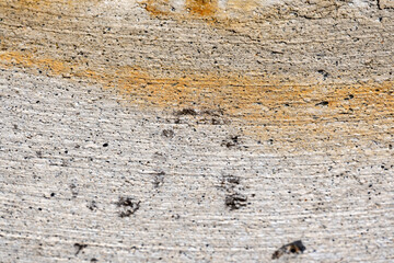 Background texture concrete with curved lines