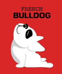 hand drawn French bulldog doing yoga. Vector illustration art on red background.
