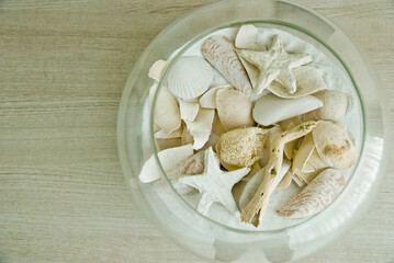 White sea shells and starfish on the white sand in a clear round bowl, a decoration item for marine theme 
