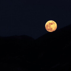 Fototapeta na wymiar full moon in the night