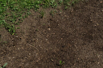 a brown and green garden top view. sow lawn, brown soil