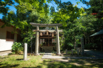 京都御苑にある宗像神社の境内社、京都観光神社と新緑の風景