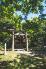 京都御苑にある宗像神社の境内社、京都観光神社と新緑の風景