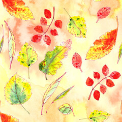 seamless pattern of autumn yellow, red, orange, green leaves on a textured yellow orange background.