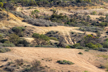 Access tracks to the  River Murray near Holder Bend lookout at Waikerie in the river land South Australia on the 20th June 2020