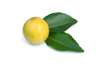 Lemons with leaves isolated on a white background.