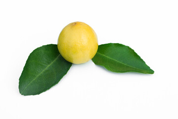 Lemons with leaves isolated on a white background.