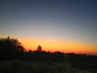 sunset over the field