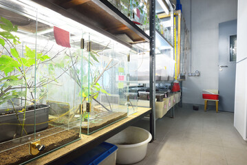 Insectarium in the zoo laboratory. Terrarium shelves, special equipment close-up. Research, education, botany, biology, zoology, entomology, herpetology, carcinology, environmental protection theme