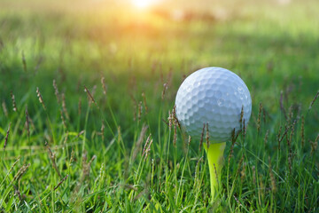 Golf ball on tee in the evening golf course with sunshine background