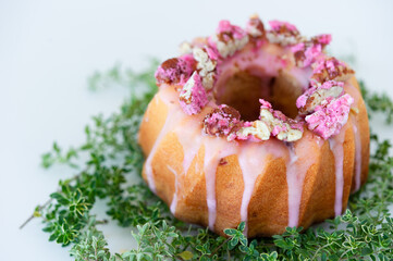 bundt cake with pink strawberry frosting with walnut on tiny green plant decoration 