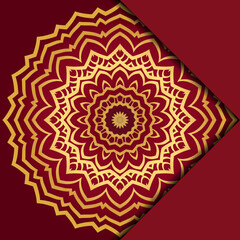 Mandala background. Vector illustration. For book cover