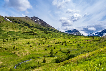 Mountain stream flows down the glacial valley towards Anchorage