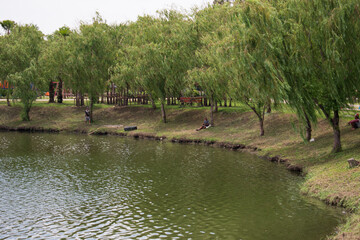 park in the lake summer midday green refresh background